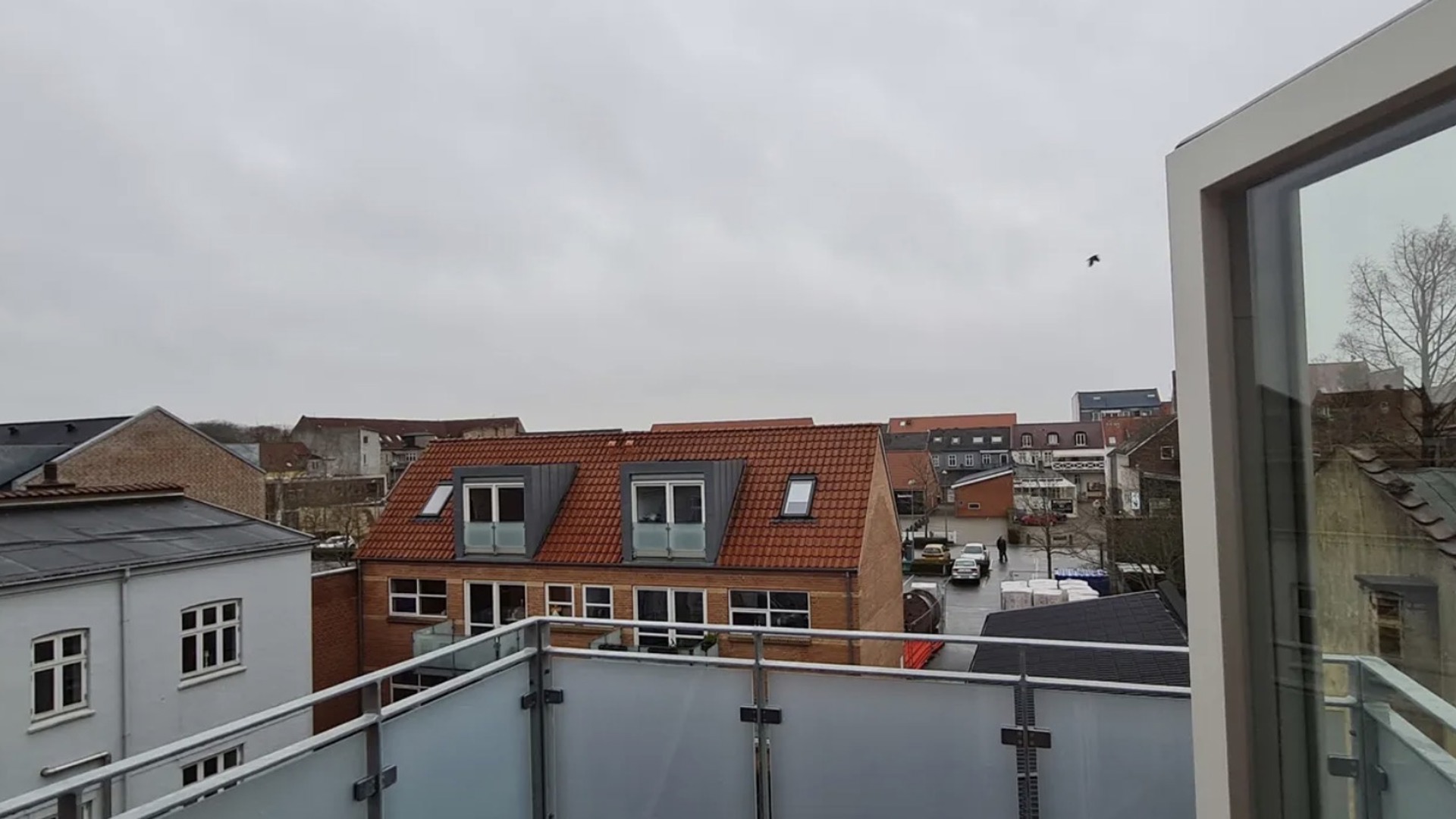 IMG 0646