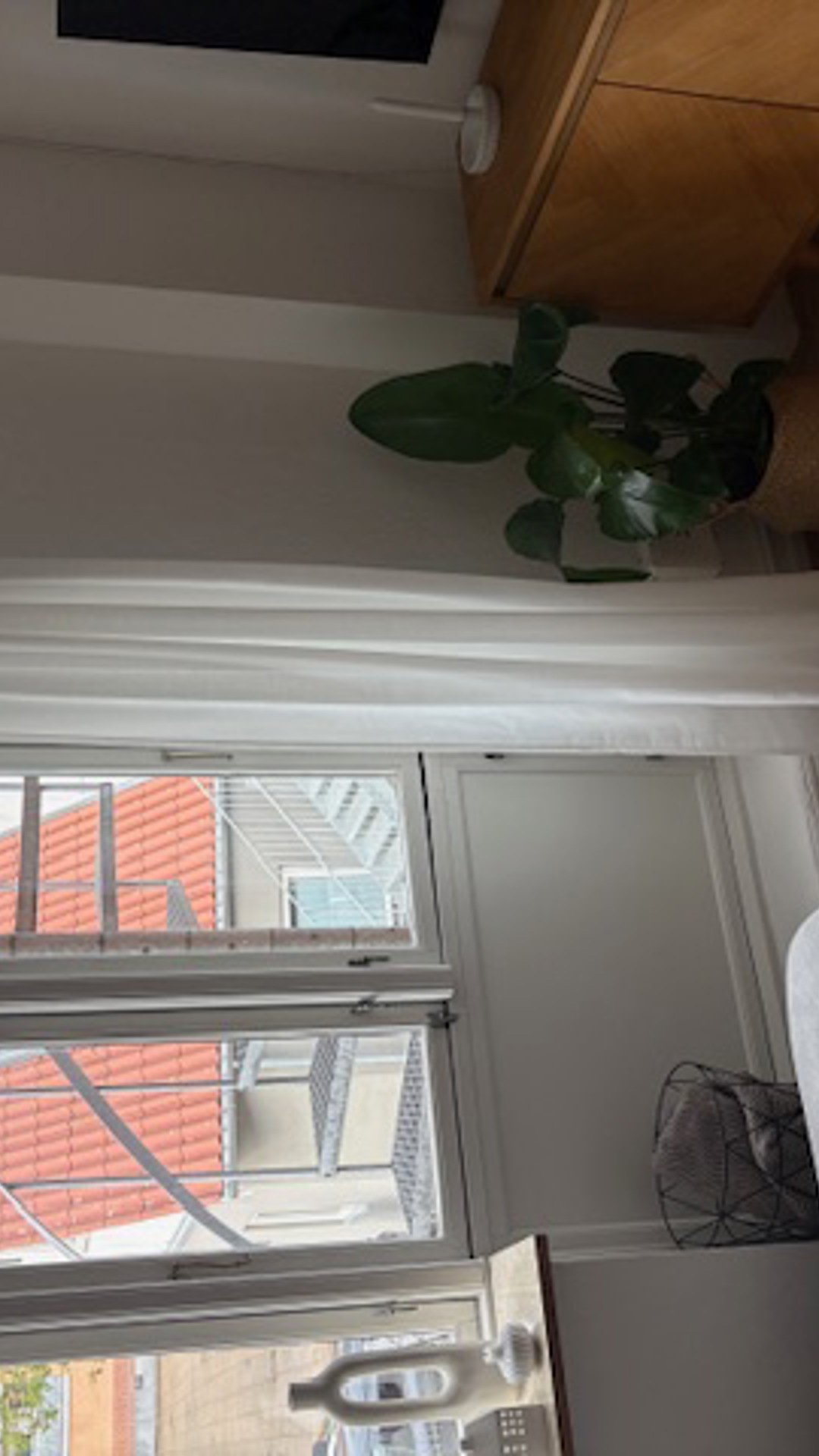 Image11