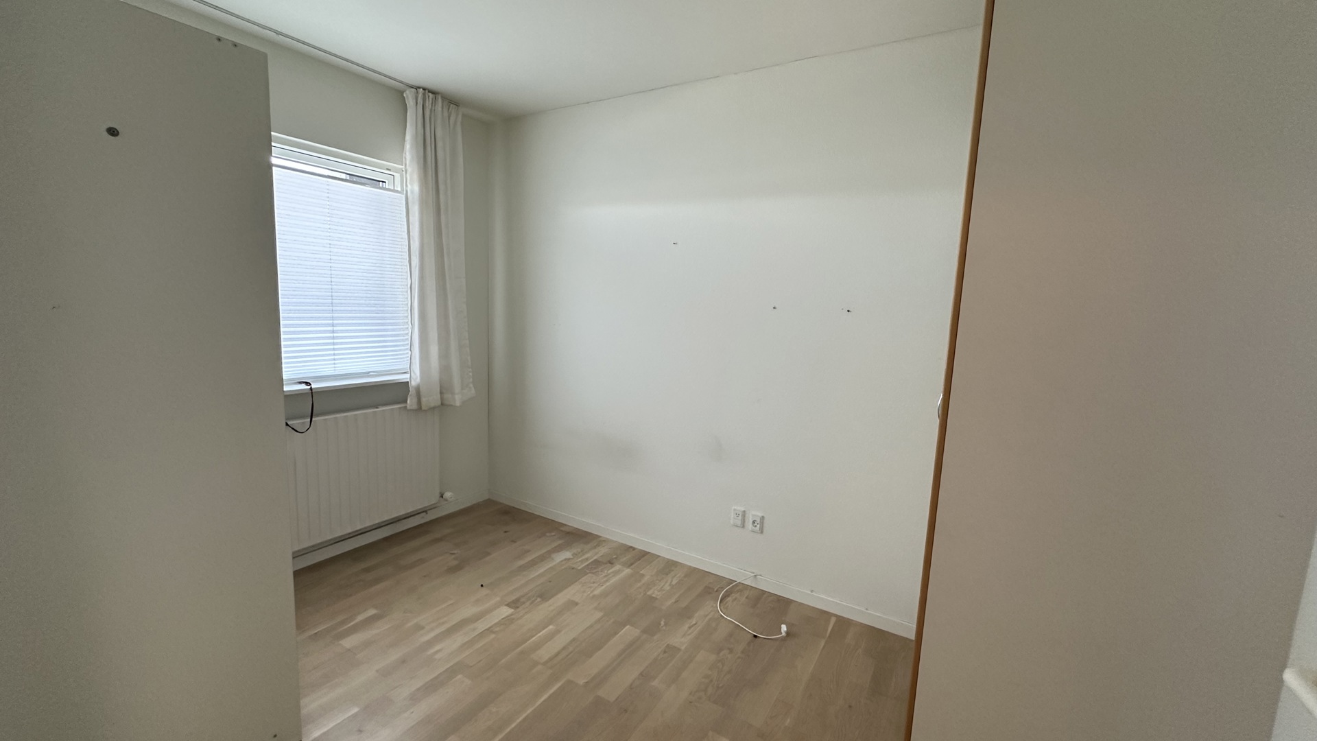 IMG 0674