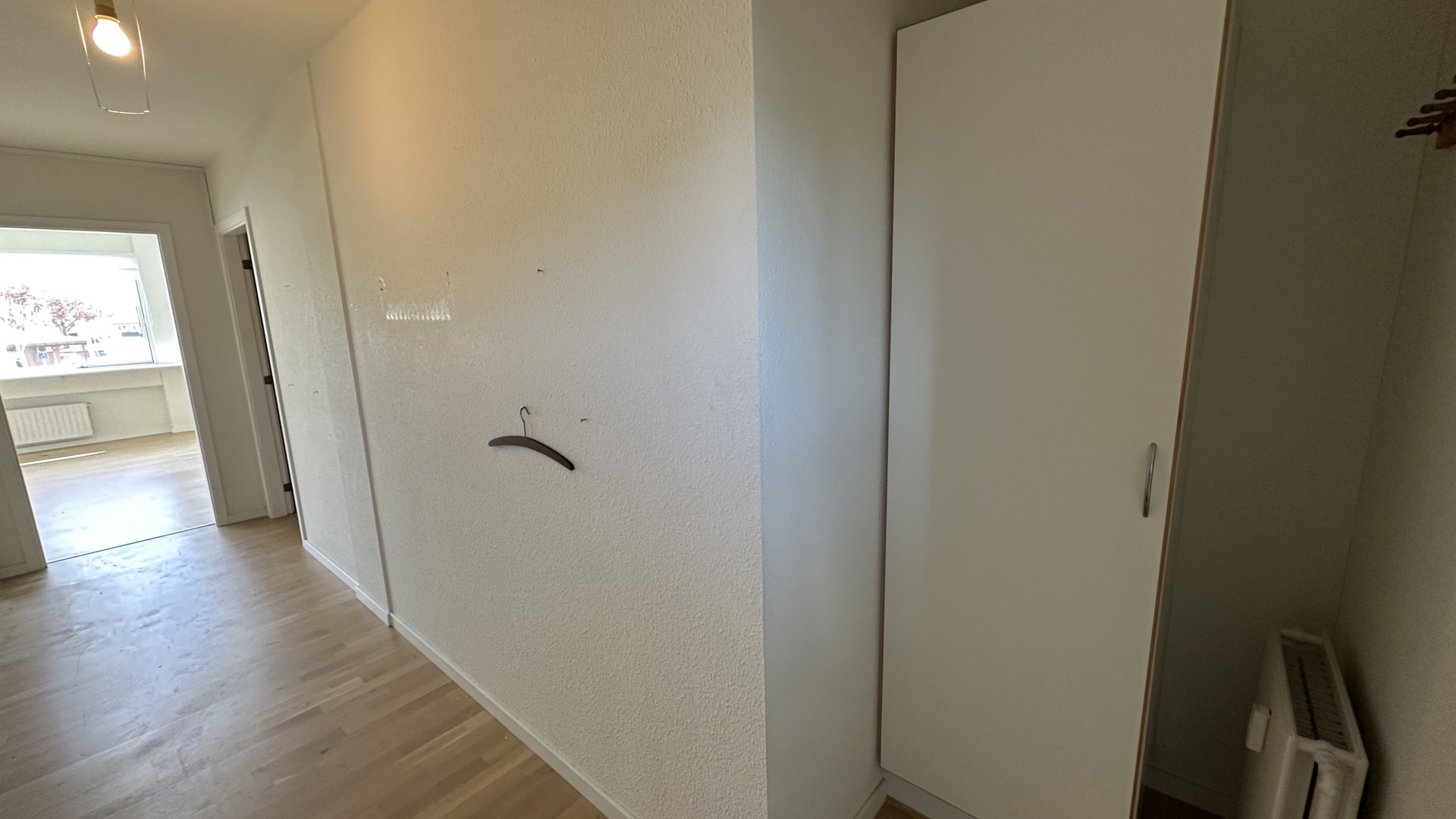 IMG 0680